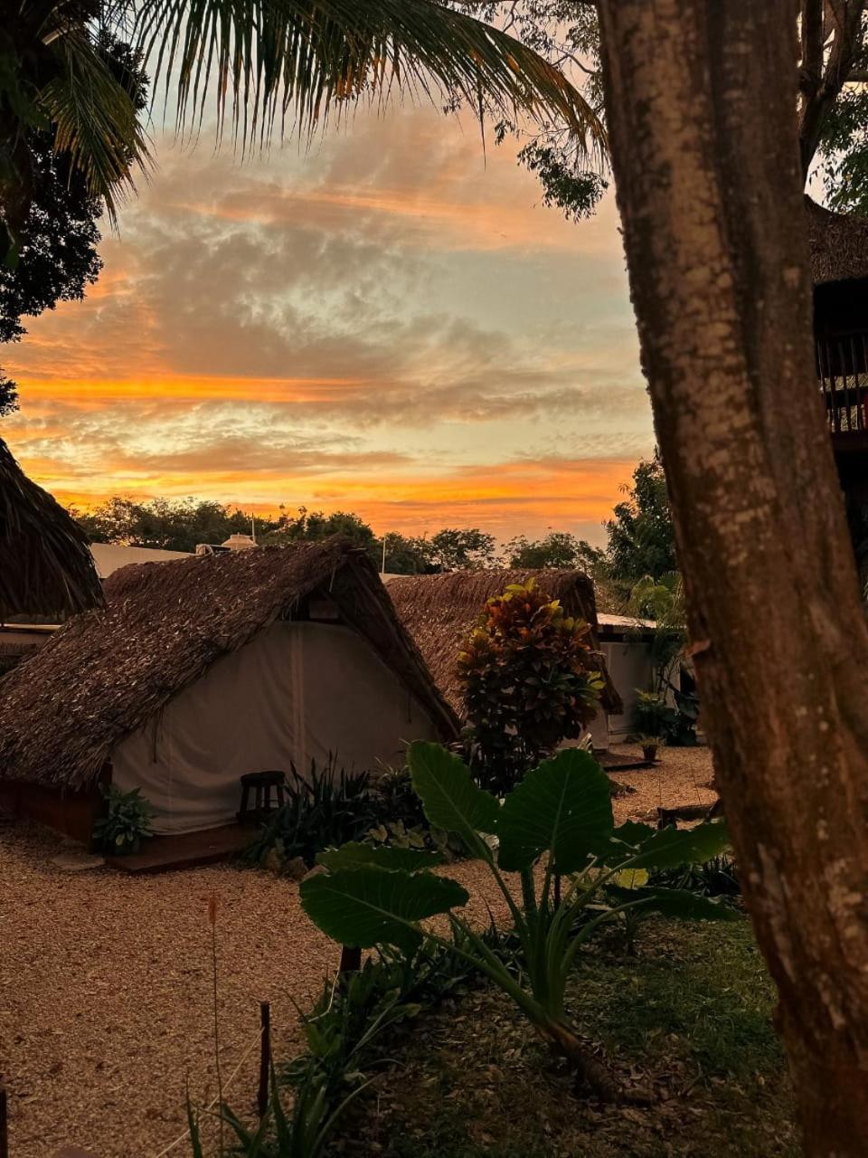 El Buho Bacalar Eco-Cabanas Hostal Exterior photo
